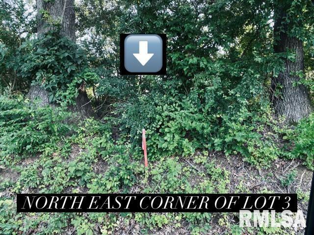 Property Photo: Lot 5 Falcon Road IL 62901