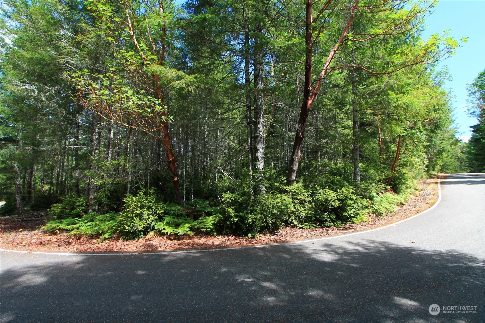 Property Photo:  0 Lot 1 NE Bear Ridge Road  WA 98588 