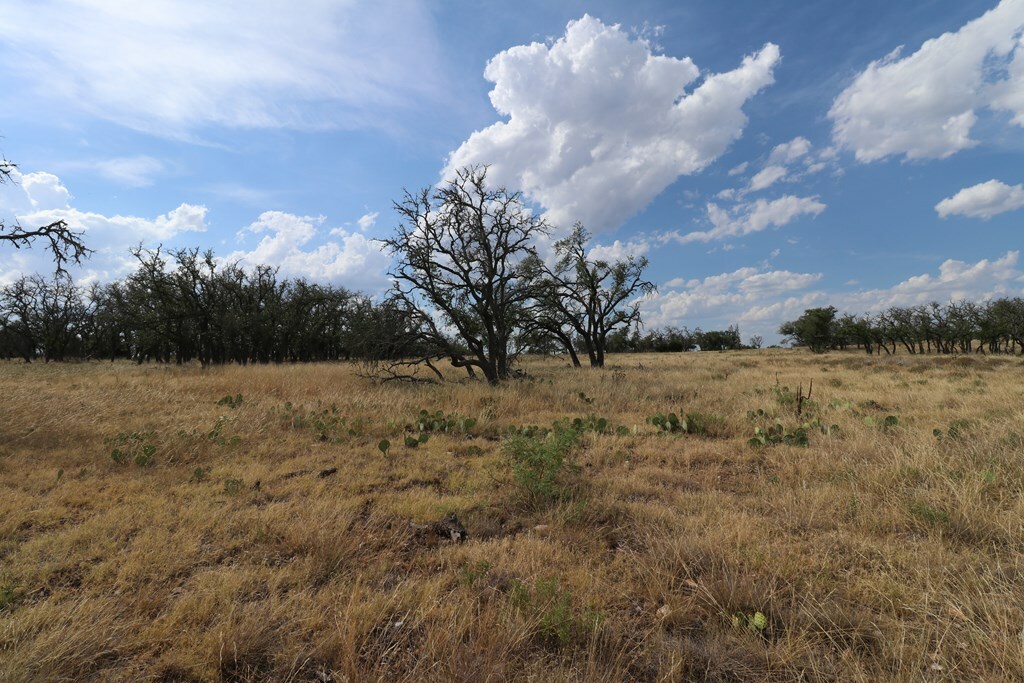 Property Photo:  Lot 40 Nott Branch Rd  TX 78631 