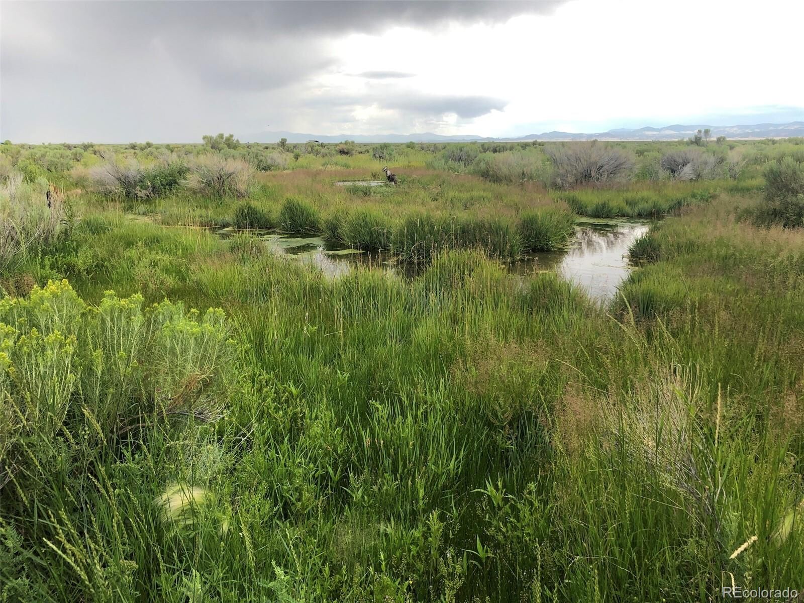 Property Photo:  0 County Road 59  CO 81143 