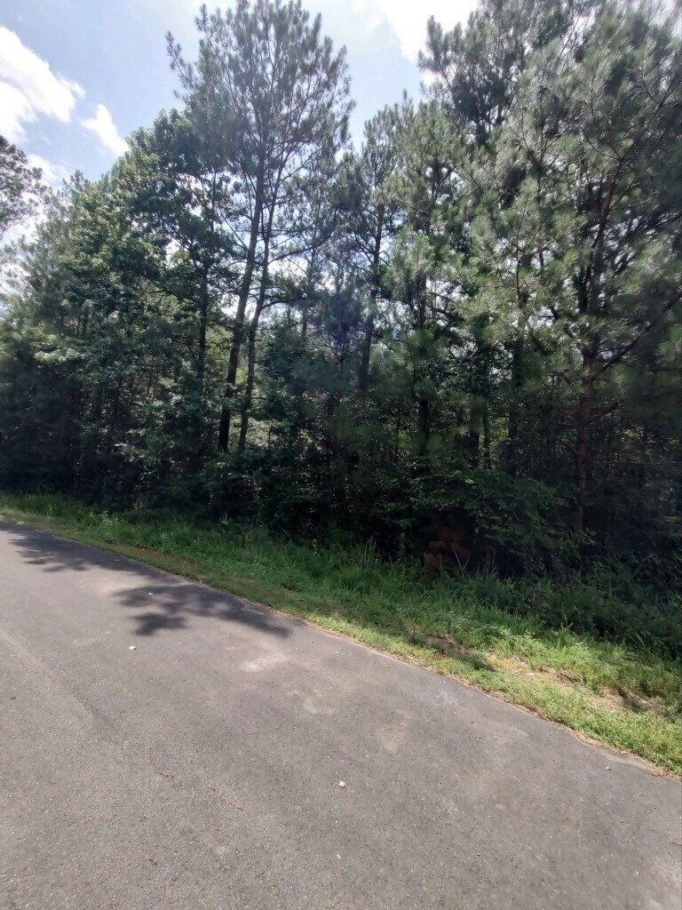 Property Photo:  0 Forest Road  GA 30733 