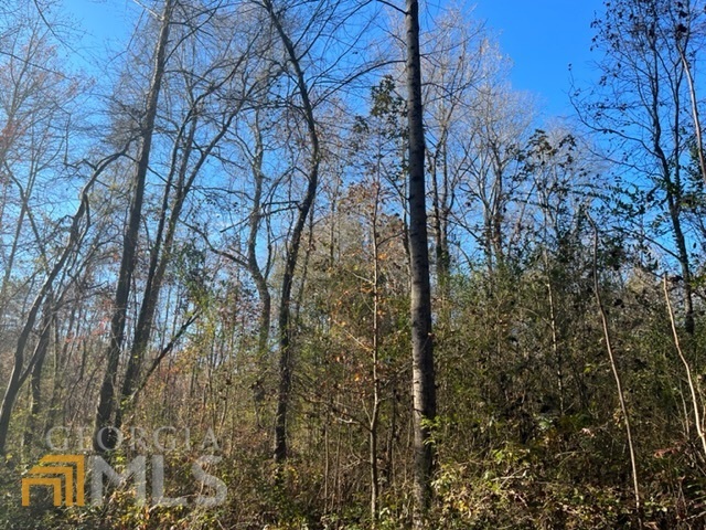 Property Photo: 0 Attaway Road Tract 11 SW 11 GA 30170