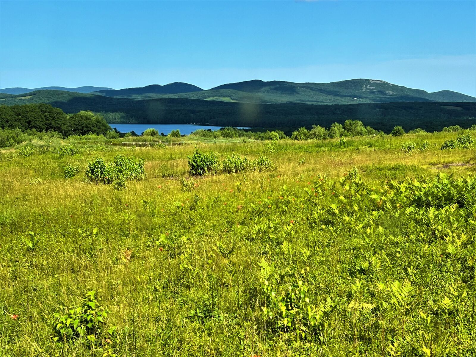 Property Photo:  000 Barrett Hill Road  ME 04847 