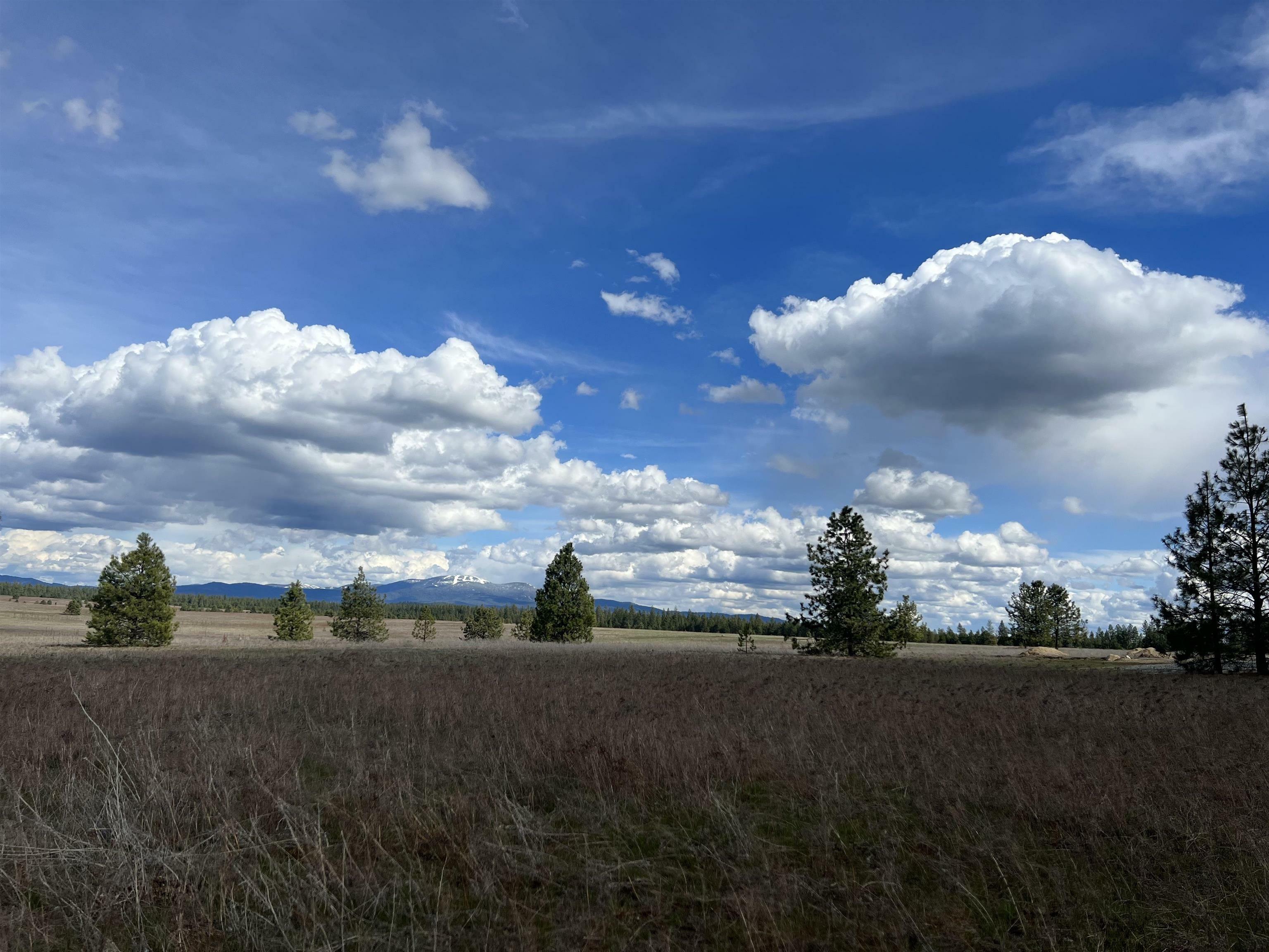 Property Photo: Nka W Findley Ln Lot 1 WA 99006