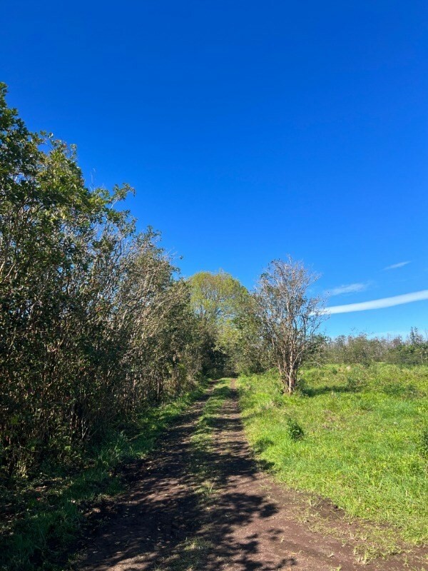 Property Photo:  15-275 North Rd  HI 96778 