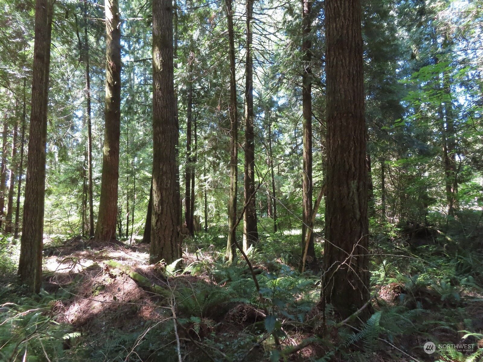 Property Photo: 0 Xxx Logan Hill Road WA 98532