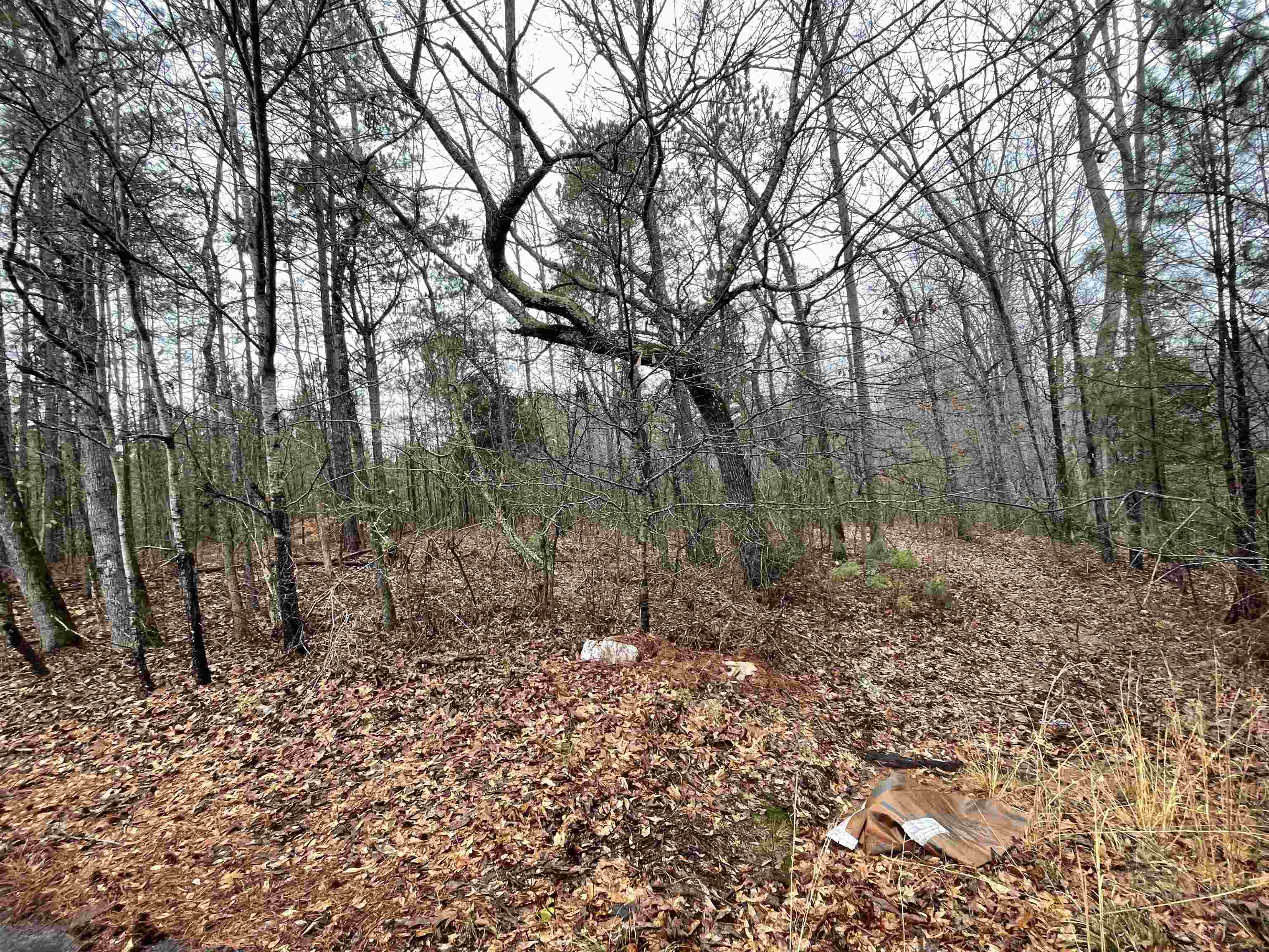Property Photo: 0 Sims Road GA 30016