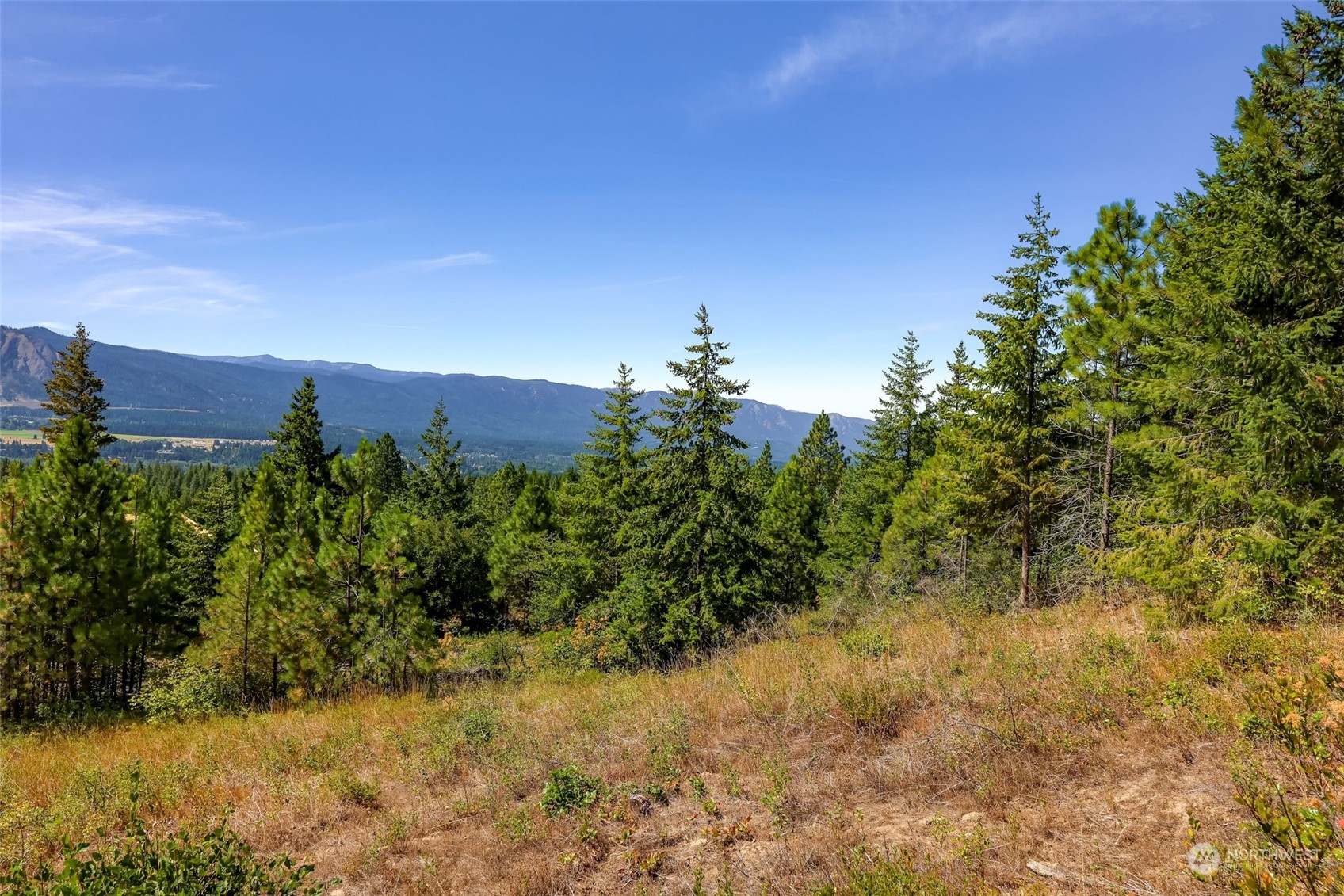 Property Photo: 0 Lot 28 Forest Ridge Drive WA 98922