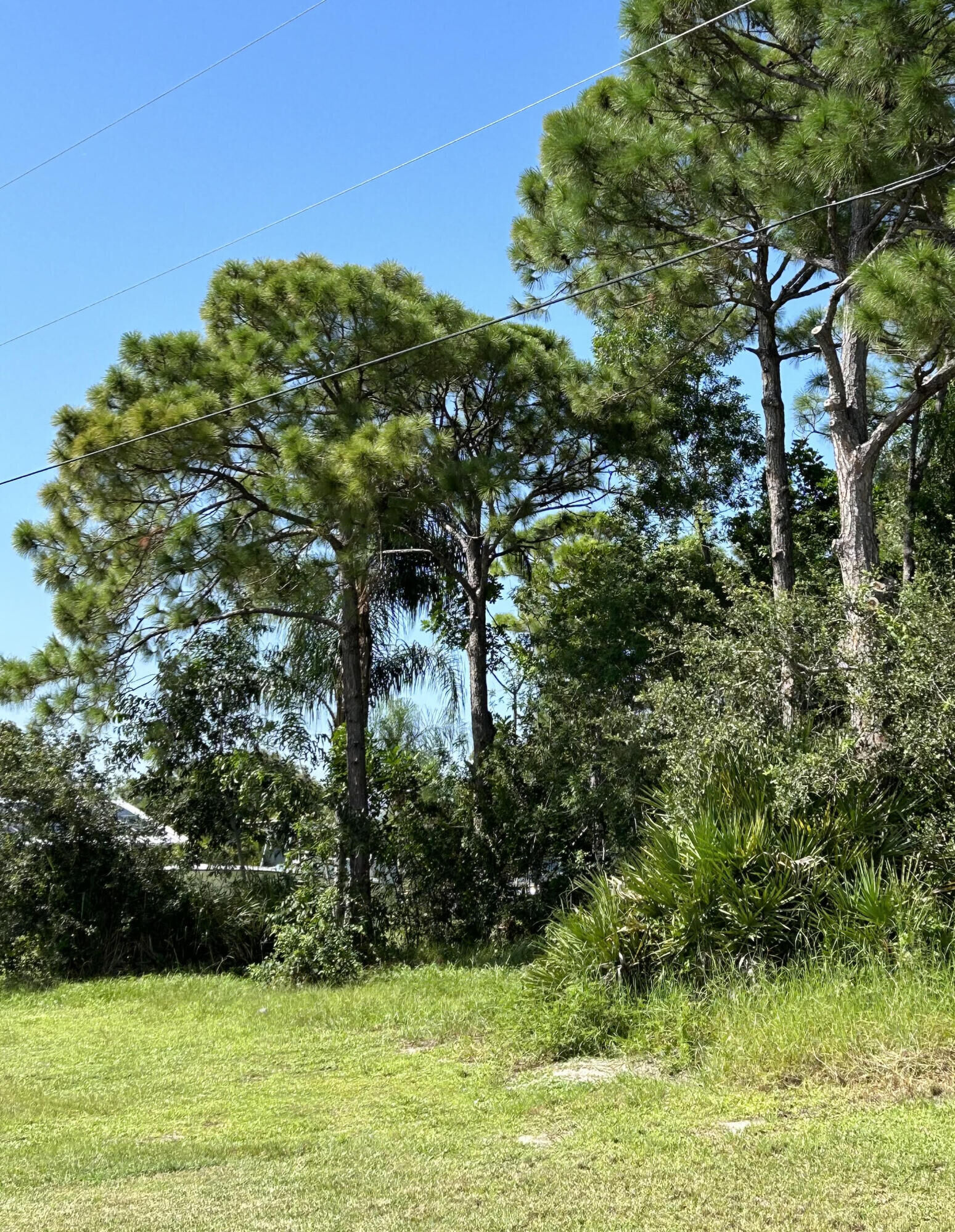 Property Photo:  2249 SE Bowie Street  FL 34952 