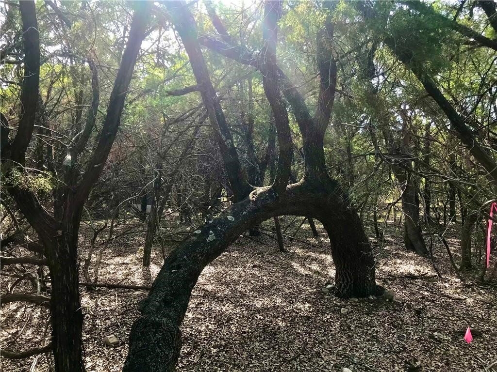 Property Photo: 8126 Chantily Trail TX 78645