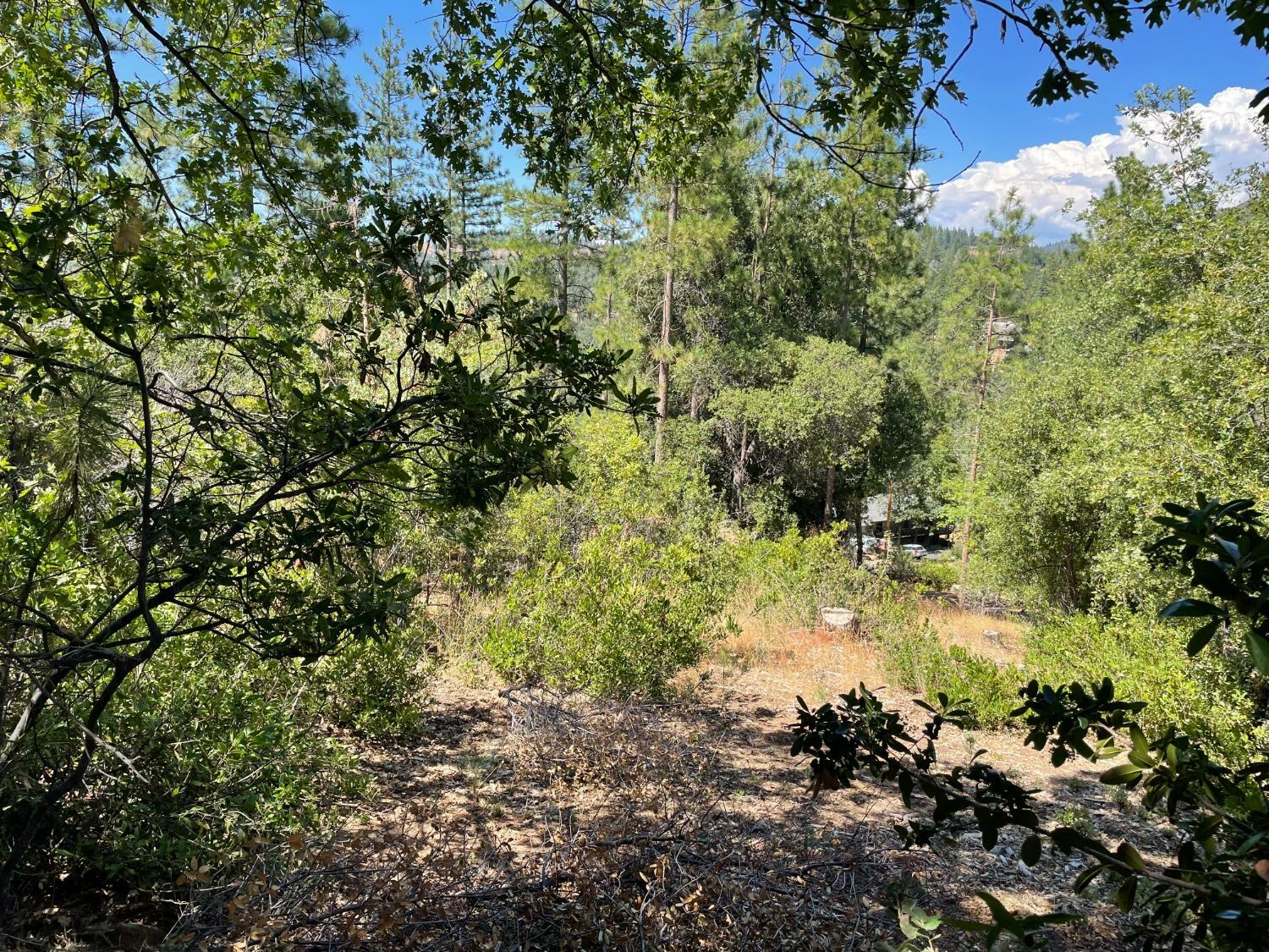 Property Photo:  0 Skyline Drive  CA 95379 