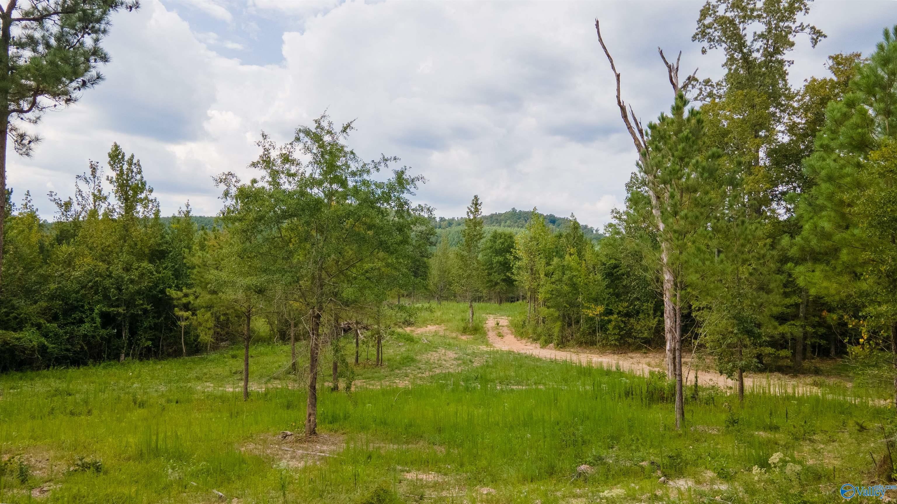 Property Photo:  10675 29 Acres Shoal Creek Road  AL 35953 