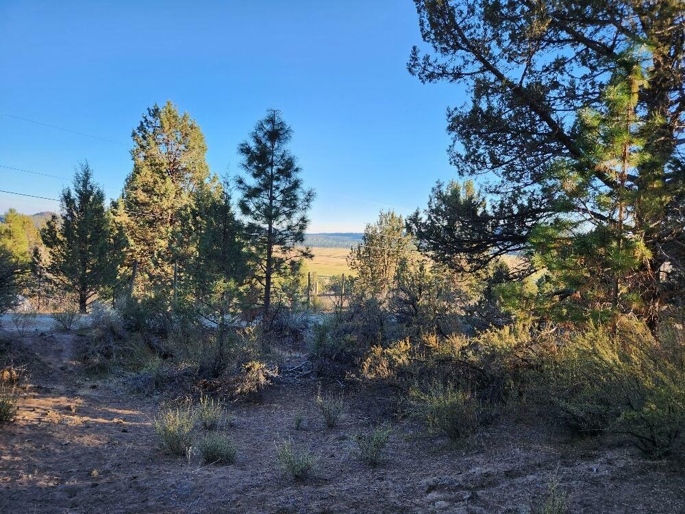 Property Photo:  Lot 151 Walla Walla Street  OR 97639 