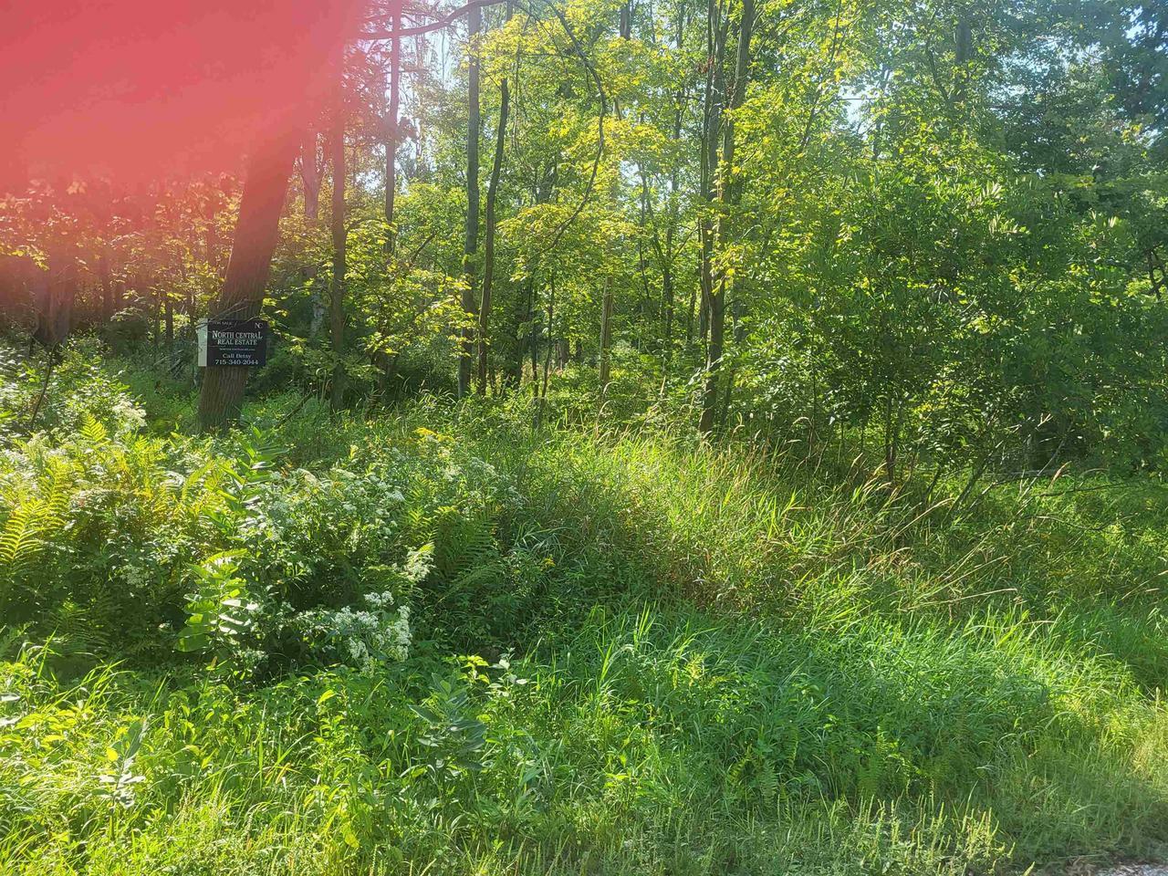 Property Photo: Lots 16 & 17 Lakeview Drive WI 53953