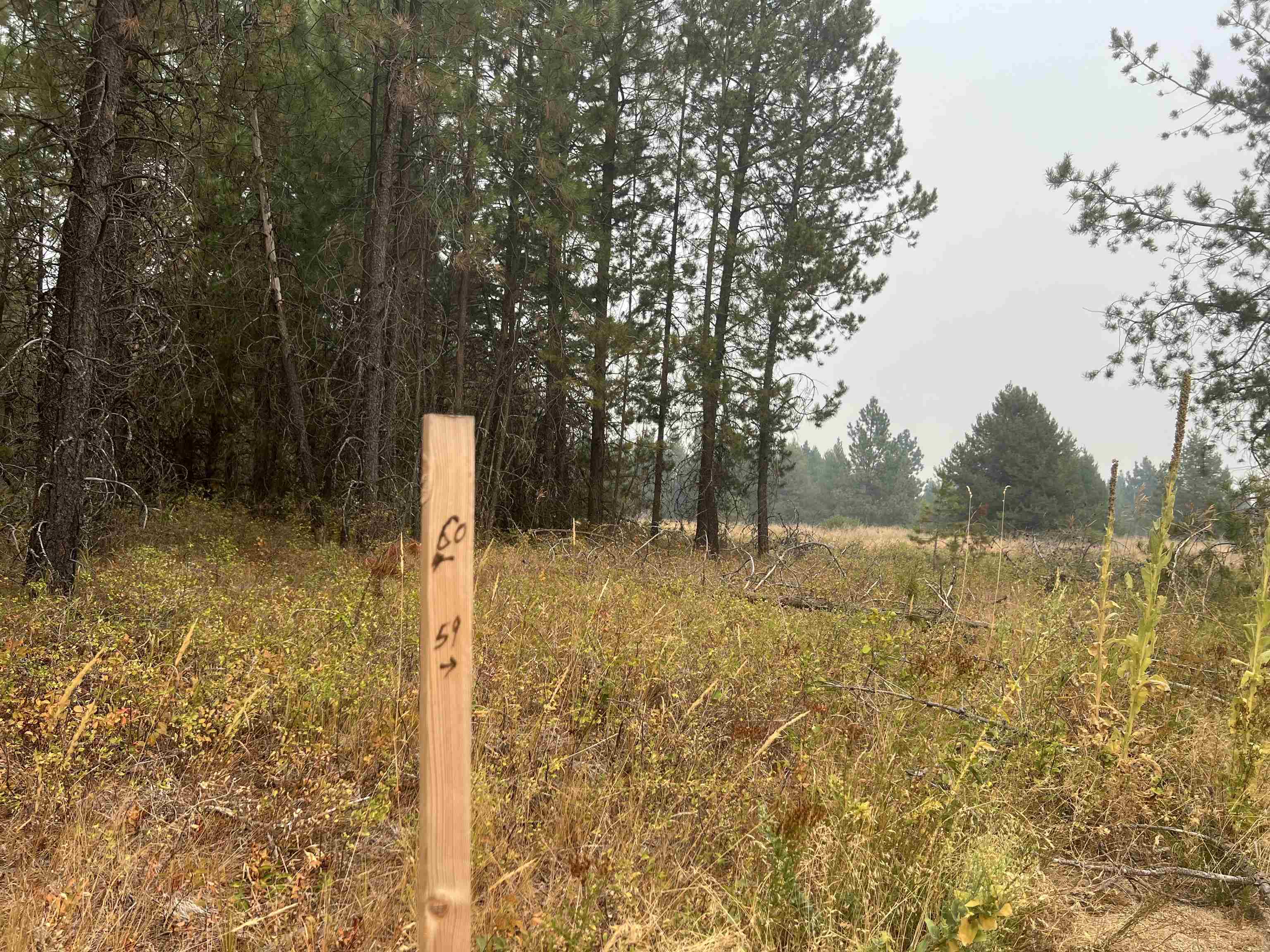Property Photo: Nka W Slaton Ln Lot 59 WA 99006