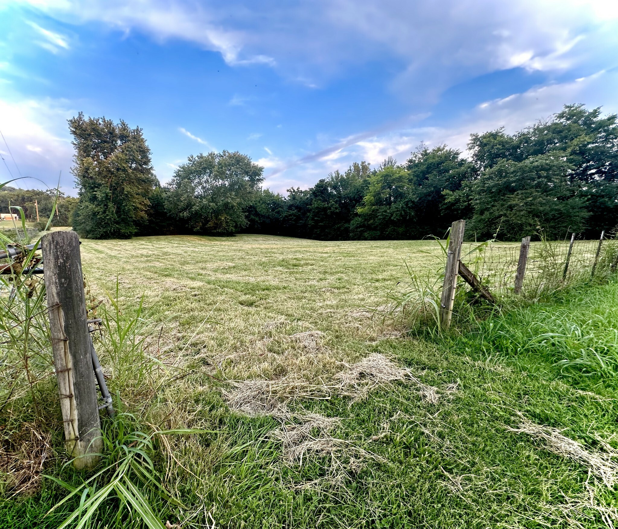 Property Photo: 3022 Carters Creek Pike TN 37064