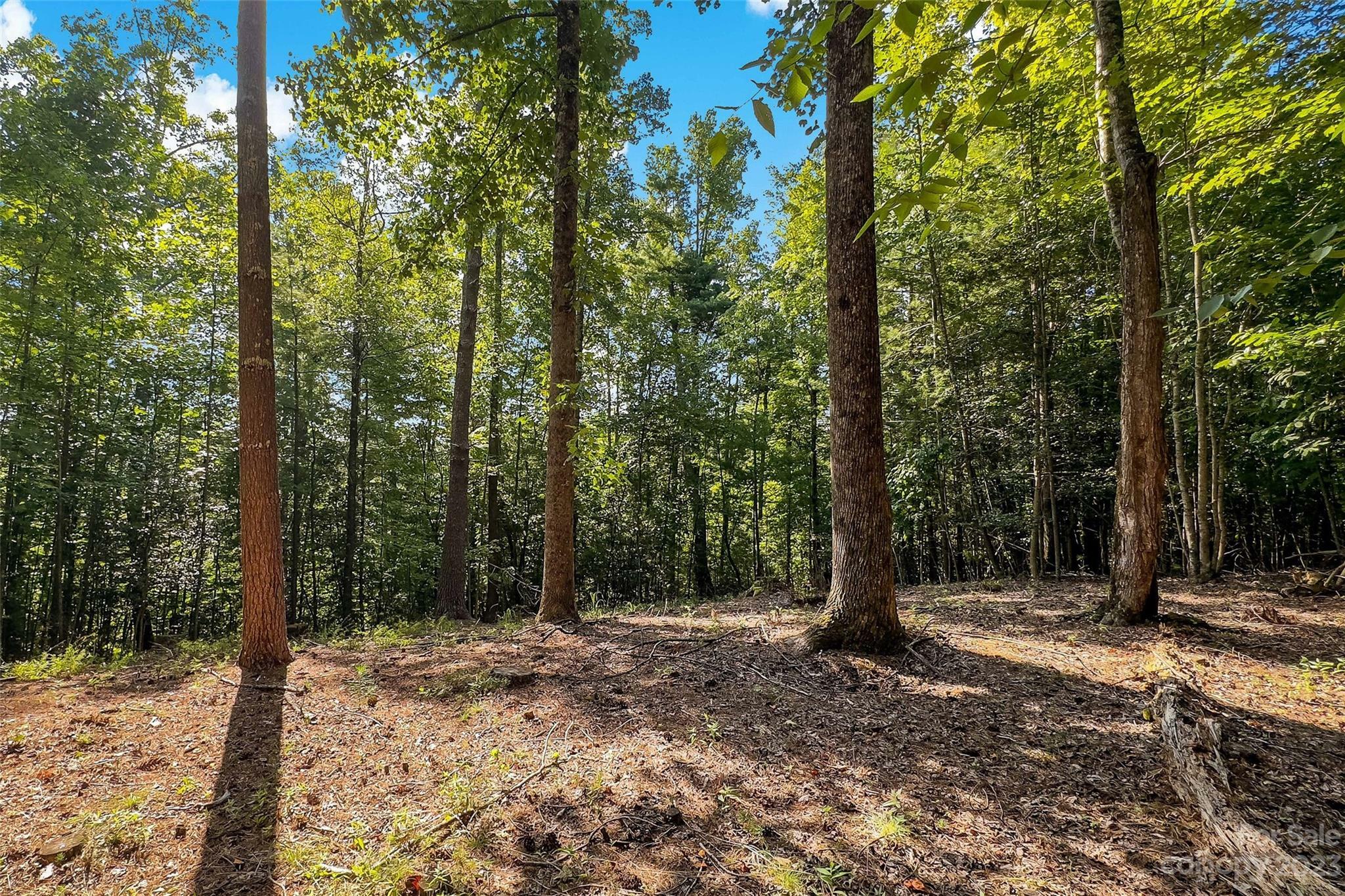 Property Photo:  V/L Forest Lake Heights Drive  NC 28761 