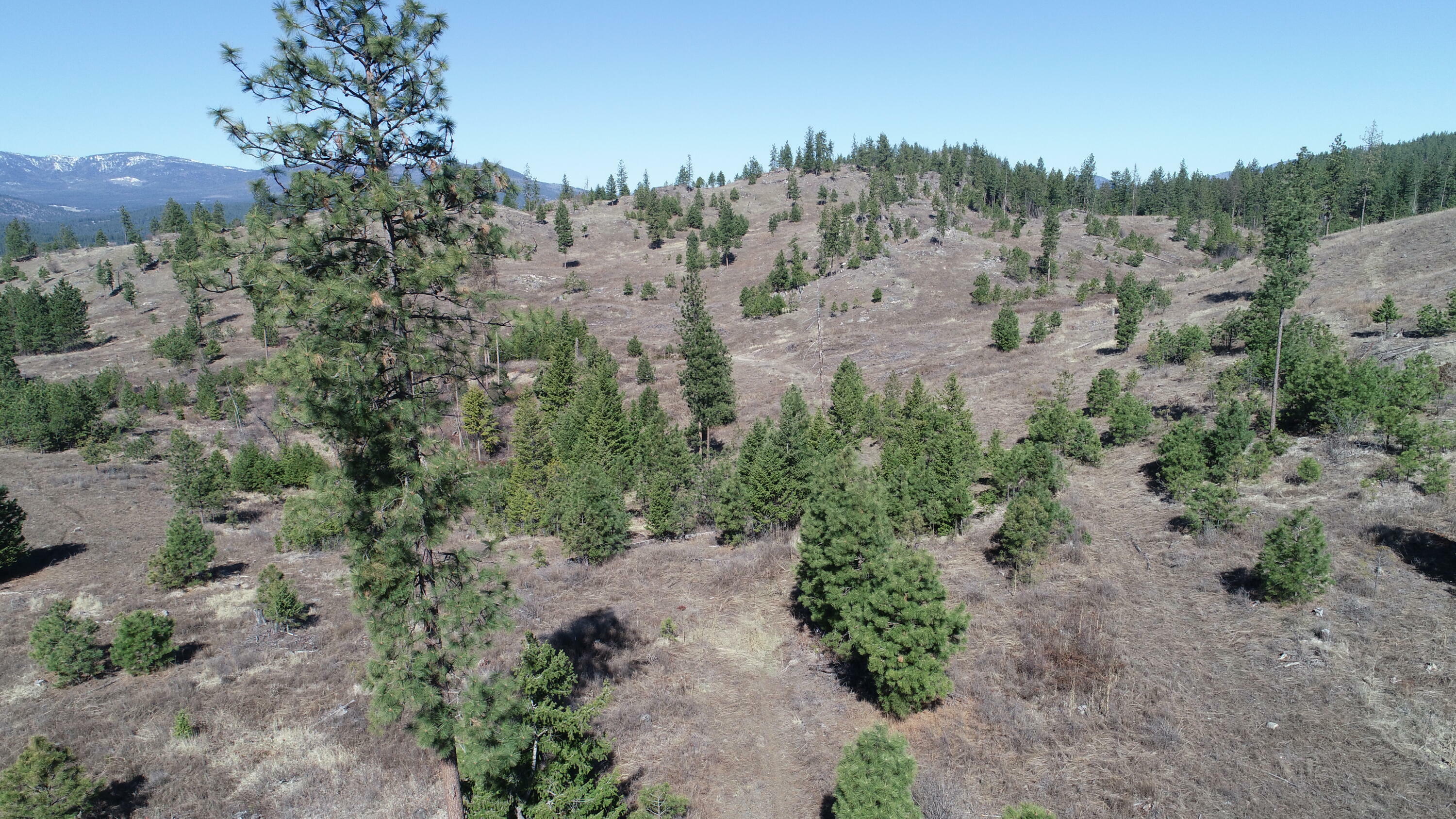 Property Photo:  Xxx Old Arden Hwy  WA 99114 