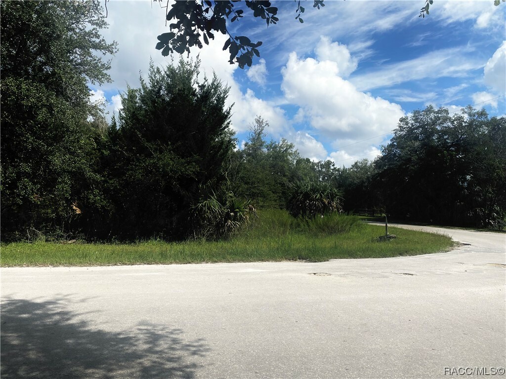 6786 N. Gold Leaf Point  Dunnellon FL 34433 photo