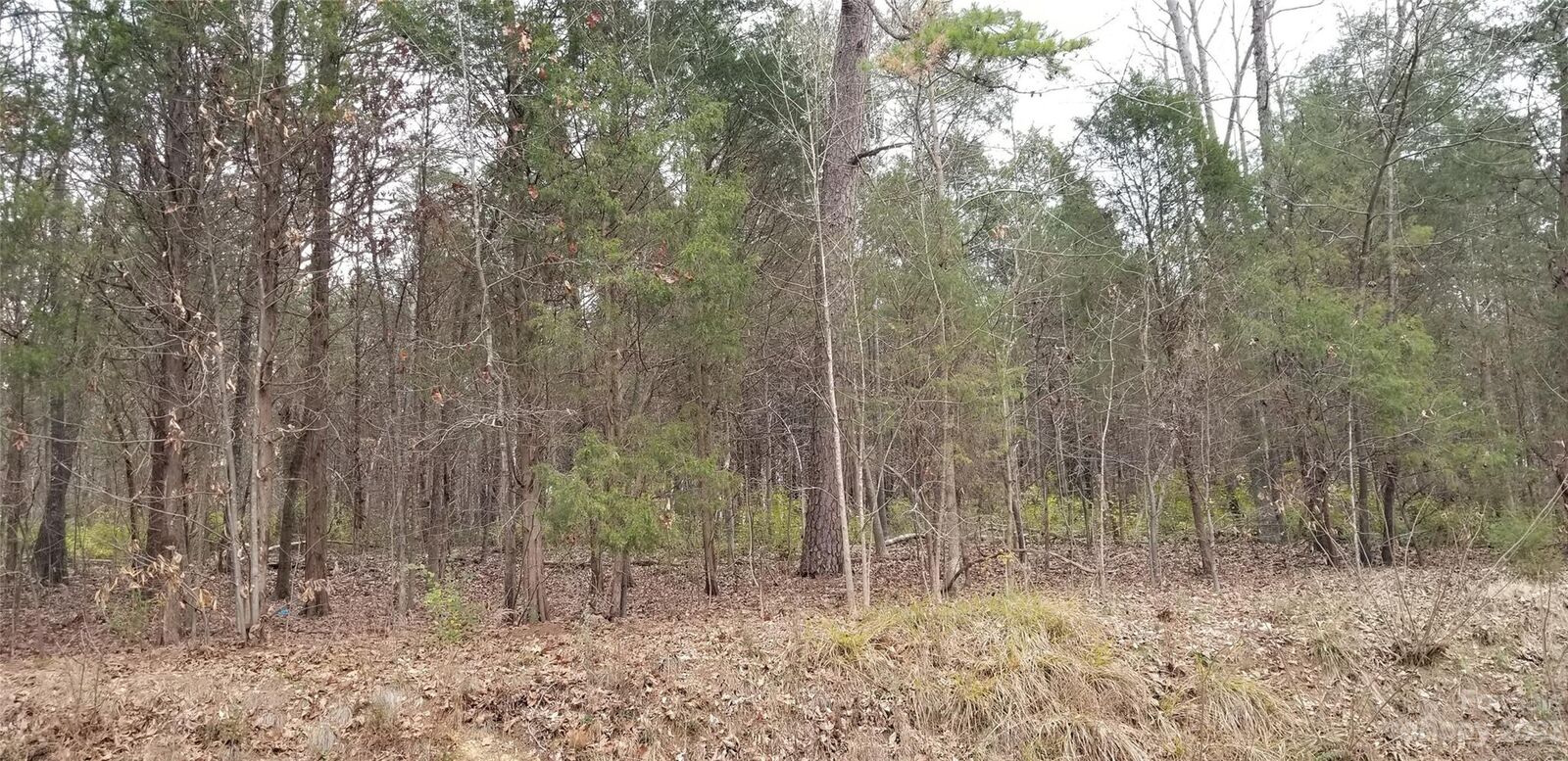 Property Photo:  0 John Street  NC 28083 