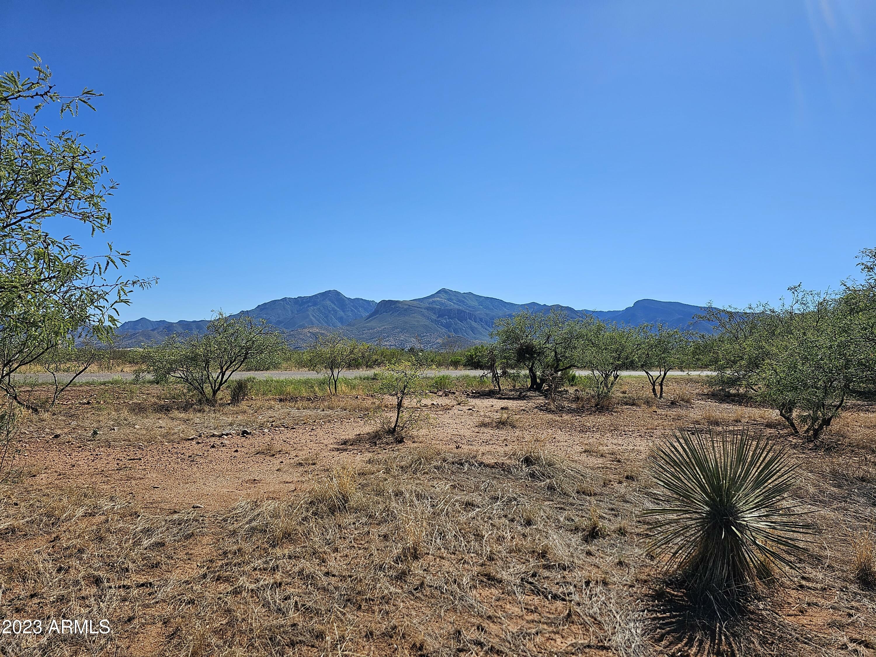 Property Photo:  Lot 85 E Sundrop Lane 85  AZ 85650 