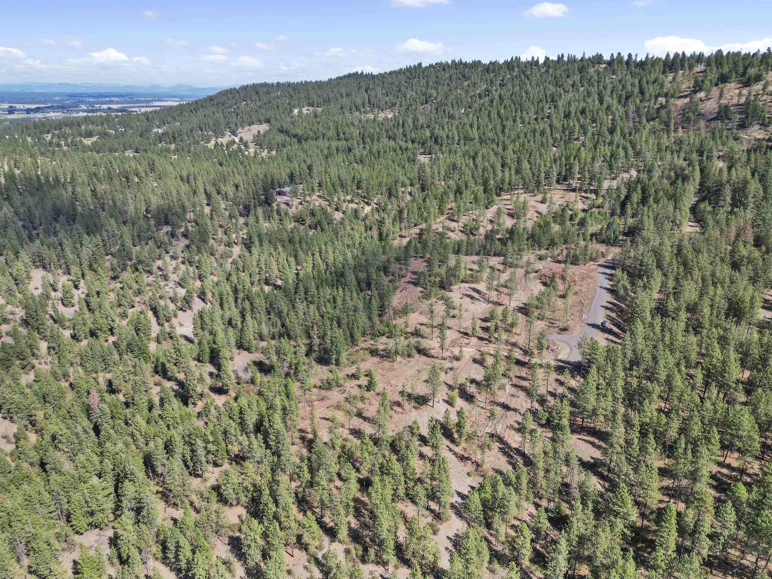 Property Photo: Nka Weaver Way Lot 2 WA 99006