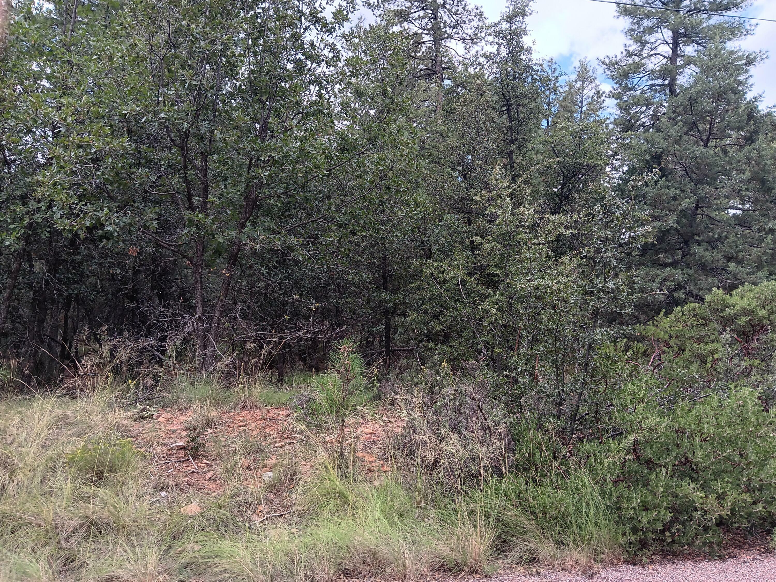 Property Photo: Lot 24 N Strawberry Lane AZ 85544