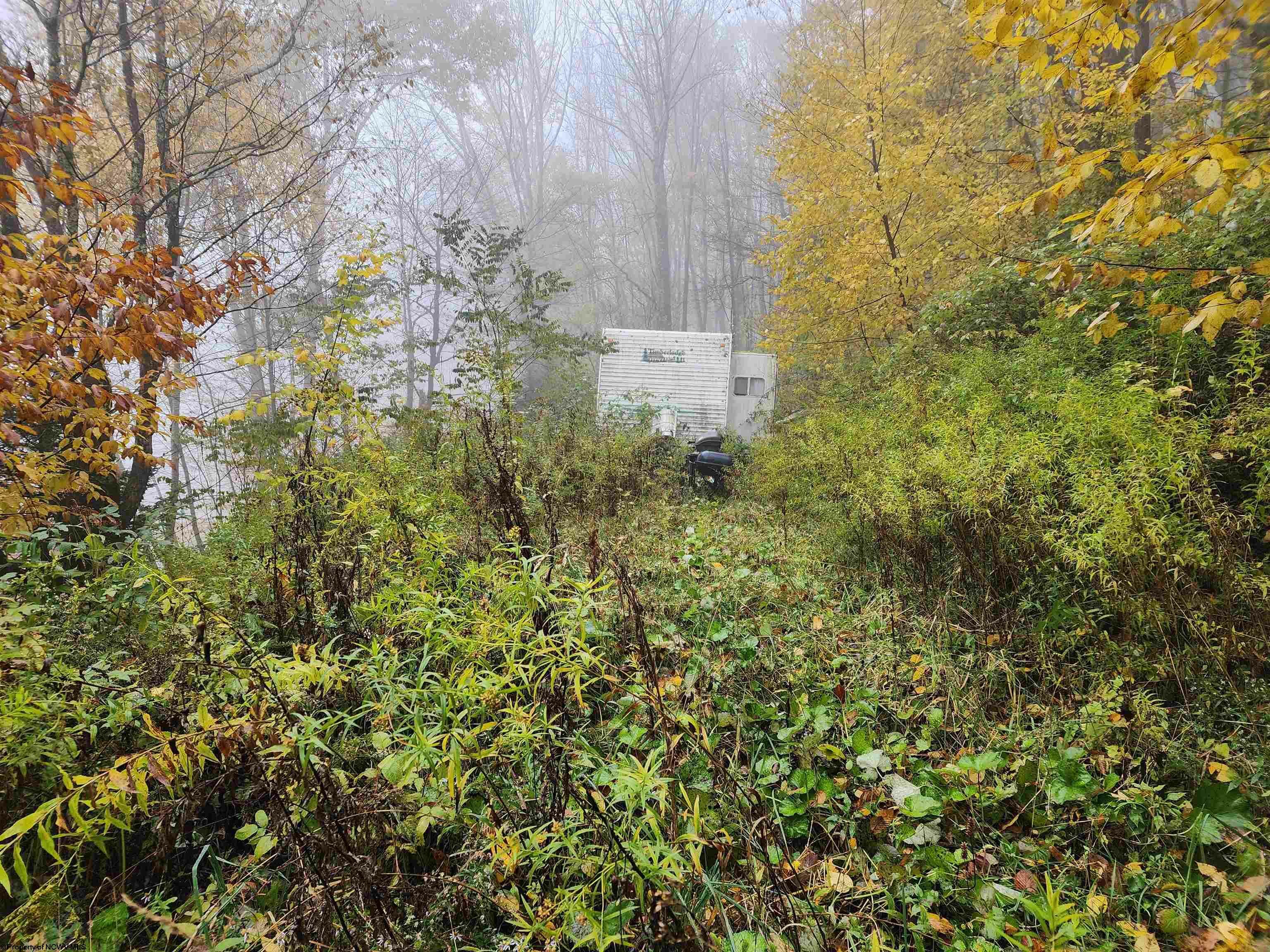 Property Photo:  Tract 34 Rocky Road Horsecamp Run Tory Mtn Sub  WV 26270 