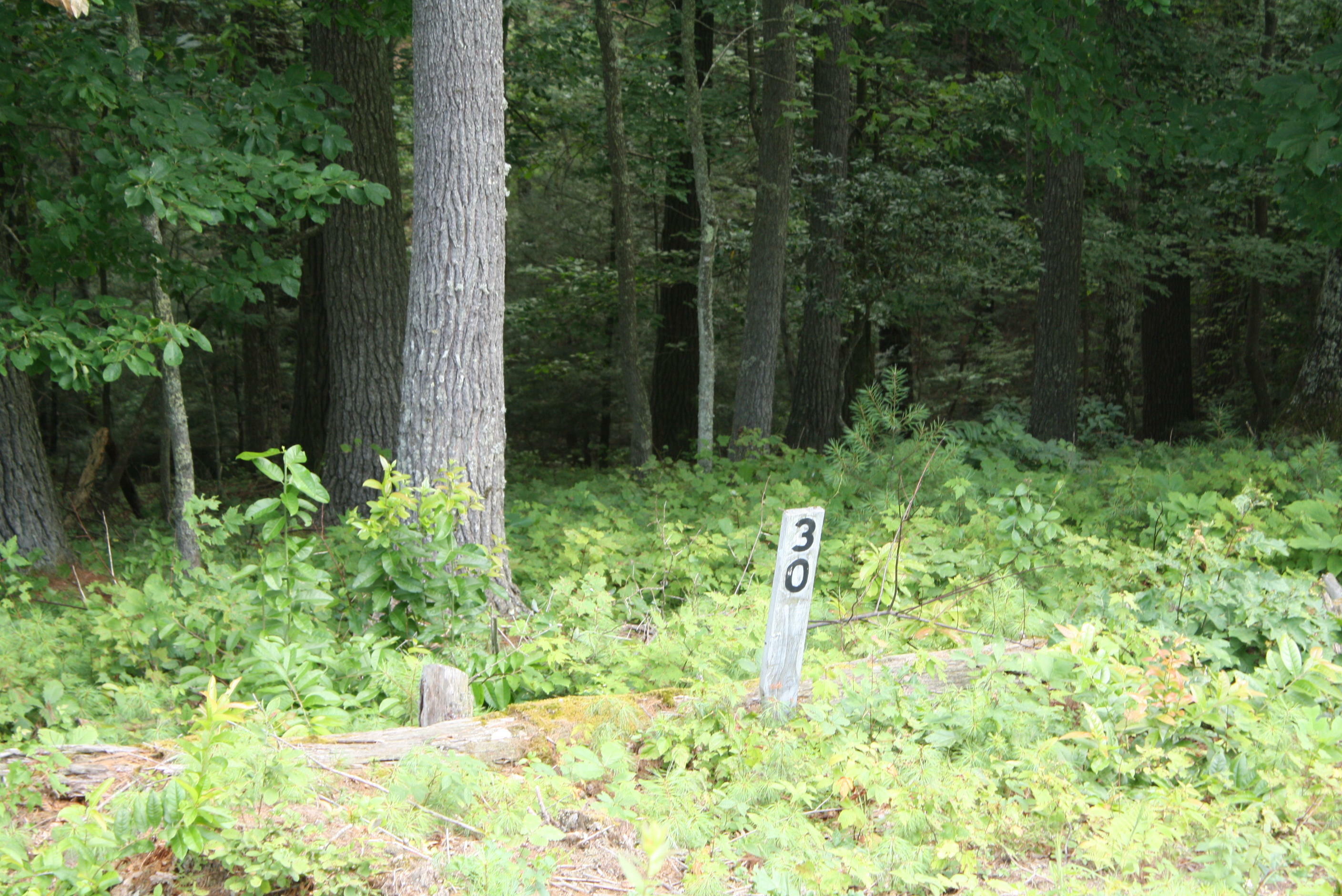 Property Photo:  Lots 30-32 Linkwood Lane Pipestem Pointe  WV 25979 