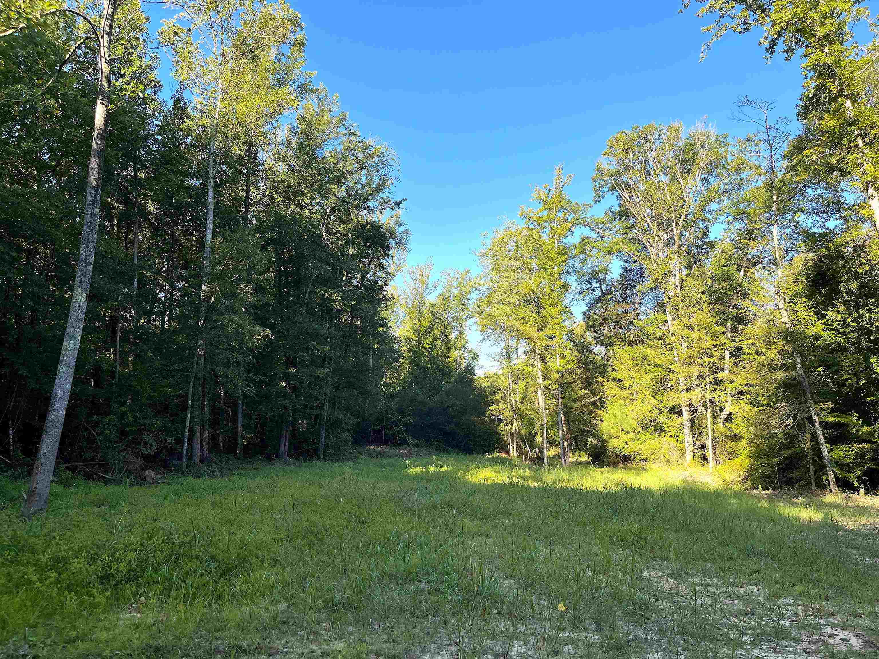 Property Photo:  1900 Piney Grove Rd  TN 38340 