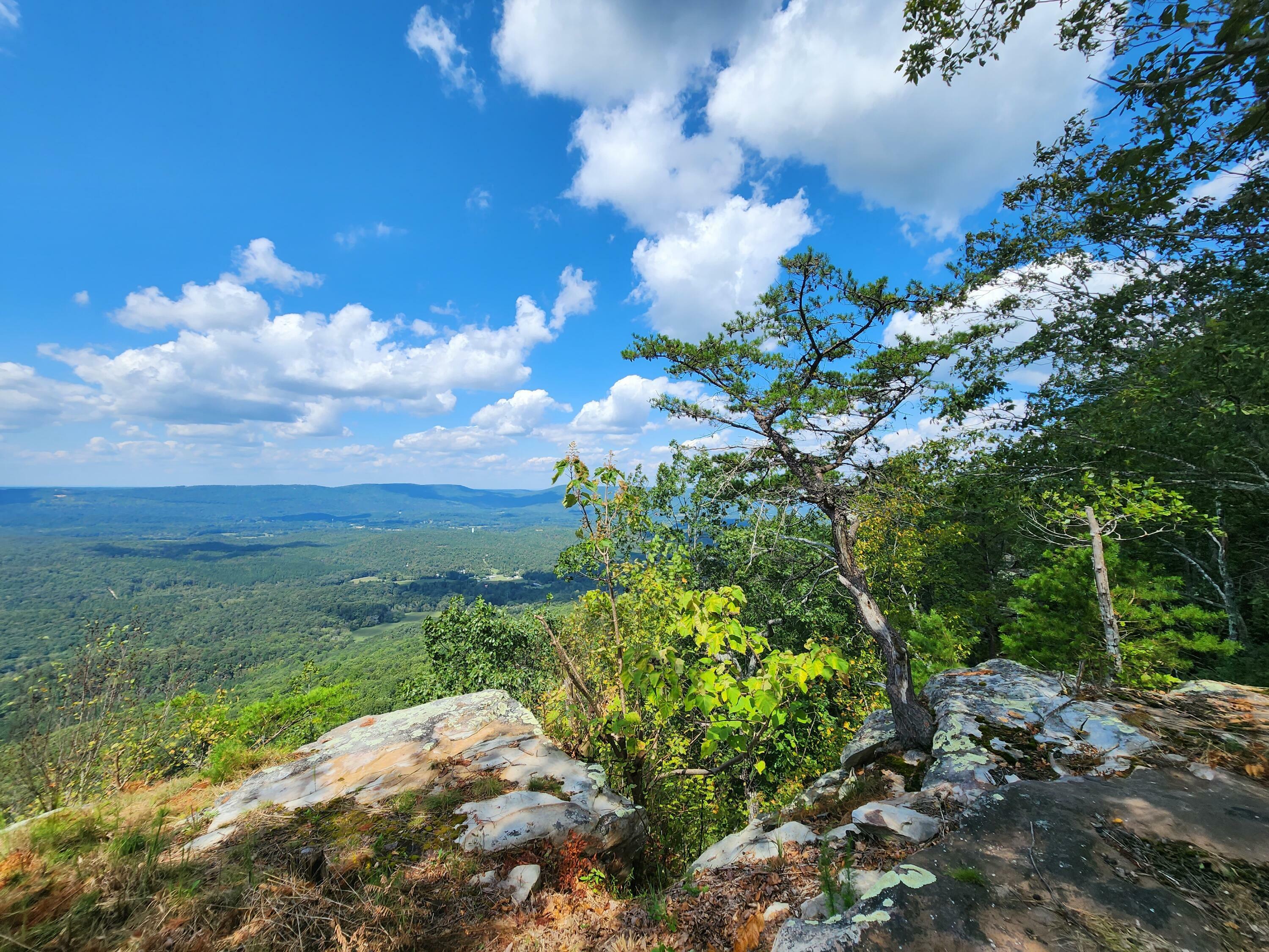 Property Photo:  7182 Old State Rd  GA 30731 