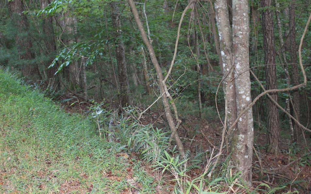 Property Photo:  Lot 1111 Molly Circle  GA 30540 