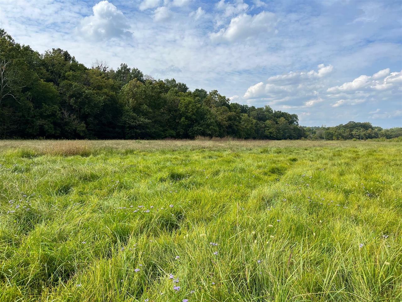 Property Photo:  Tract 4 Old Gainesville Road  KY 42164 