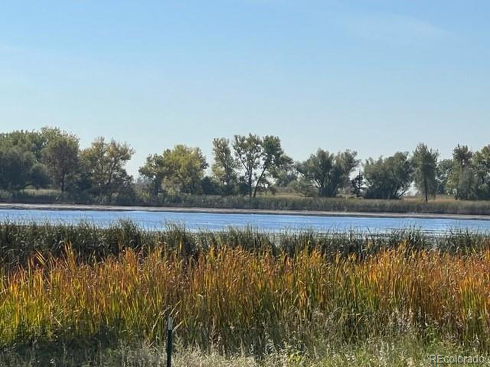 Property Photo:  Yellowstone Rd  CO 80503 