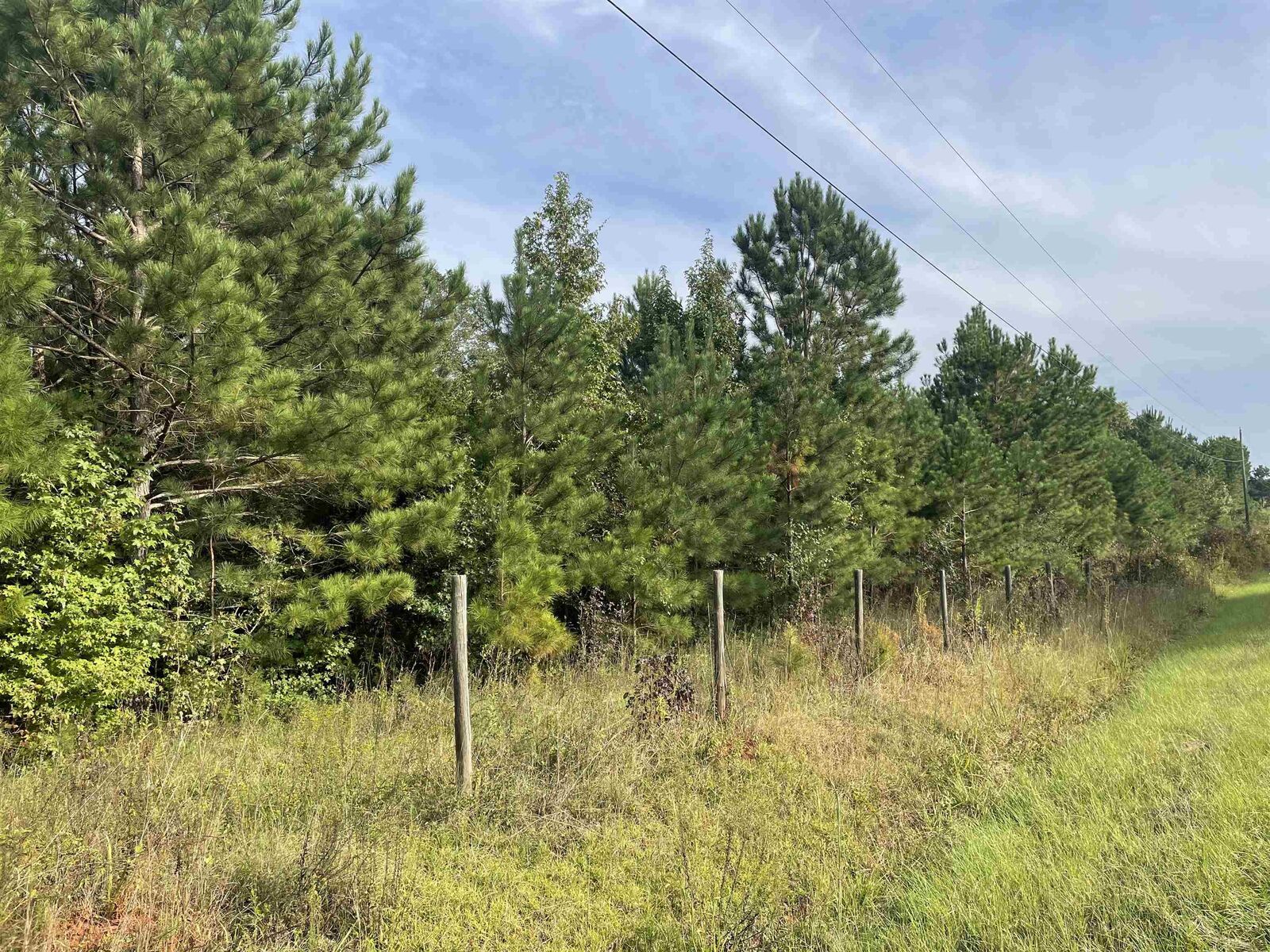Property Photo:  0 Reese Road  GA 30663 