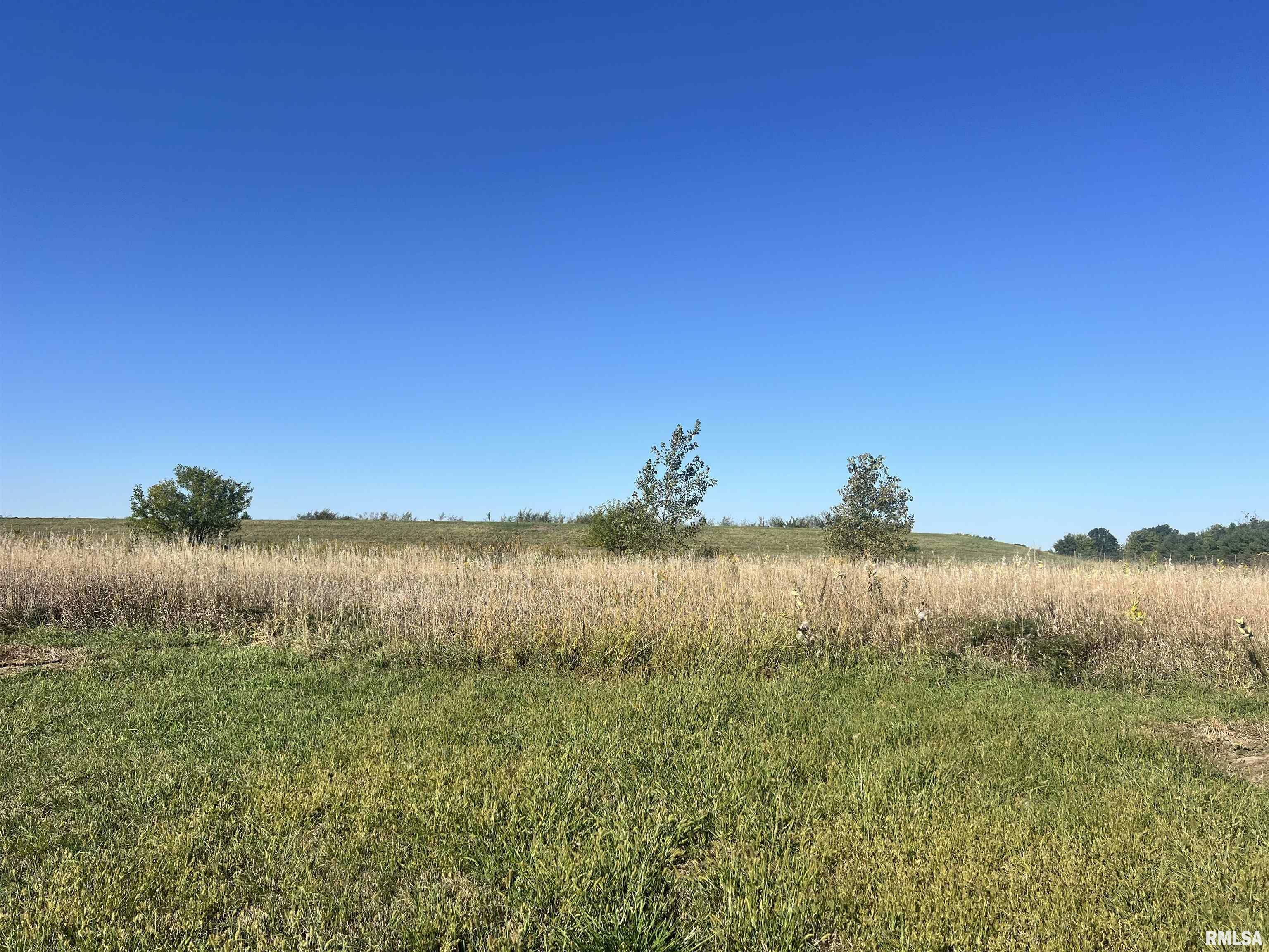 Lot 99 Brittany Court  Metamora IL 61548 photo