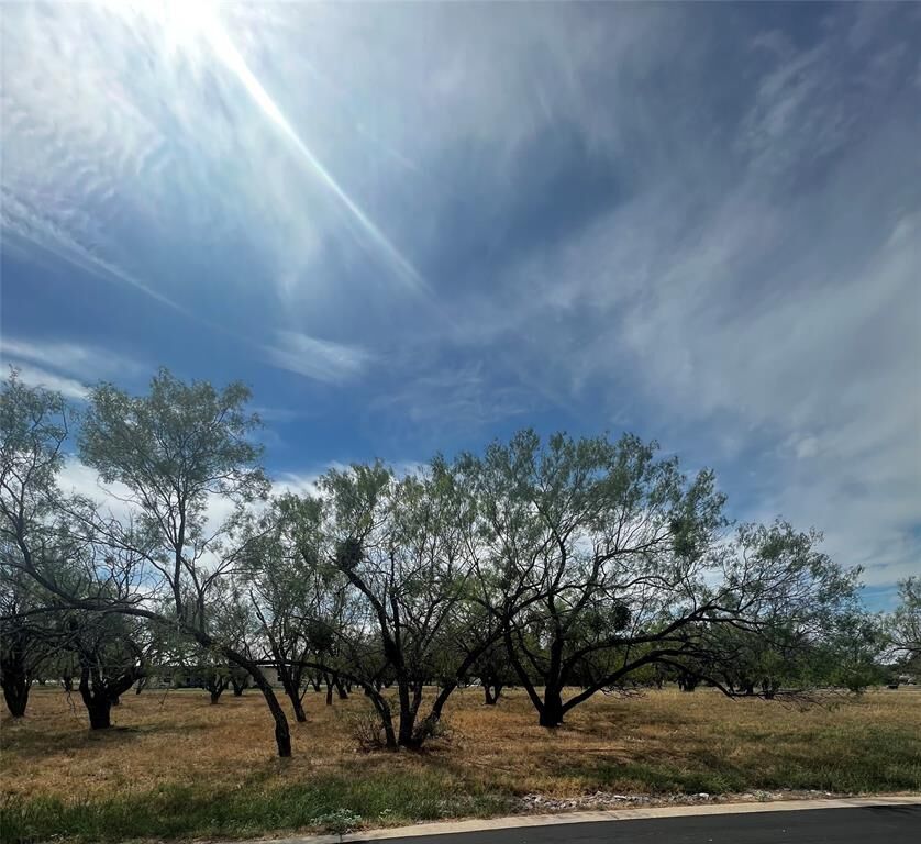 Property Photo: 0 Lake TX 78657