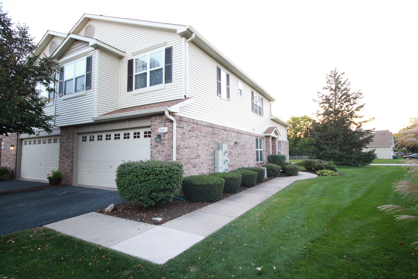 Property Photo:  560 Chesterfield Court  IL 60543 