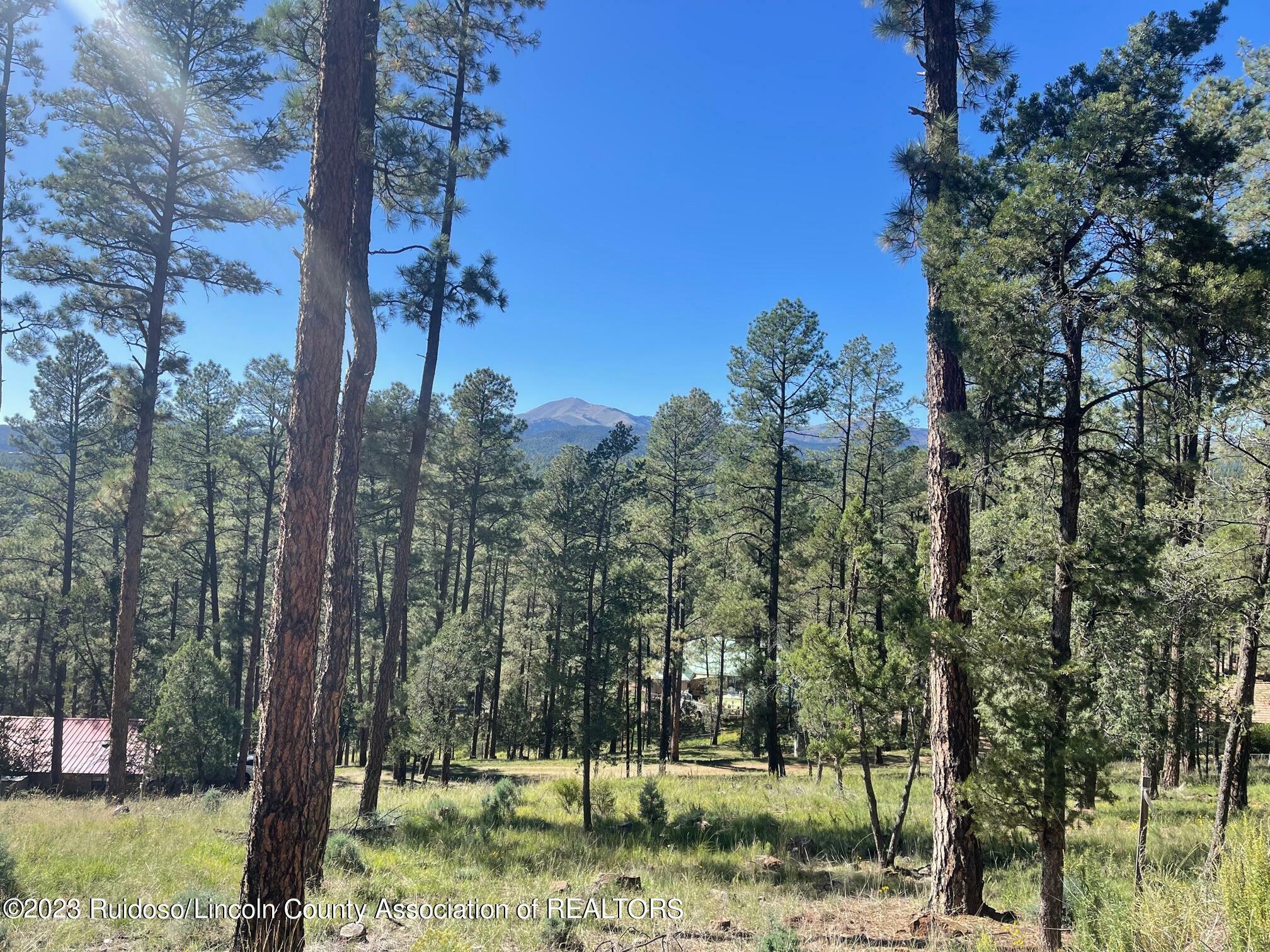 Property Photo:  111 Poco Loco Drive  NM 88345 