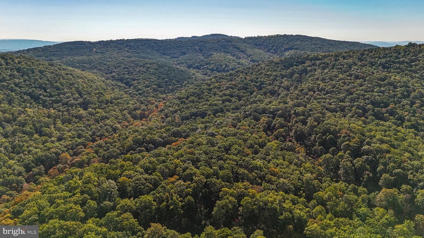 Property Photo:  Lot 55 Bluffs Mill Road  WV 26719 
