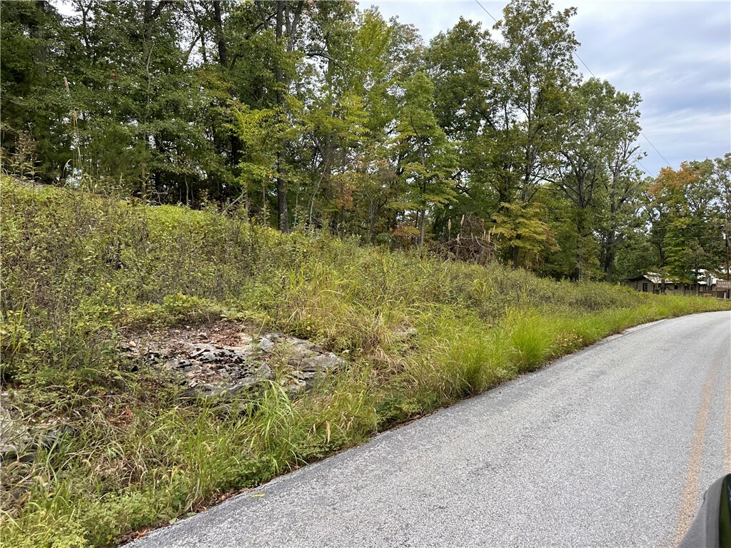 Lot 3 Silver Summit Road  Eureka Springs AR 72631 photo