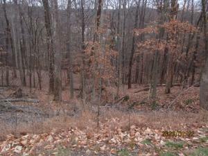 Property Photo:  0000 Mt Andrew Pvt Drive  TN 37660 