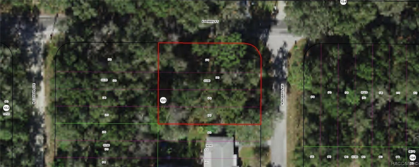 Property Photo:  764 N Morris Avenue  FL 34453 