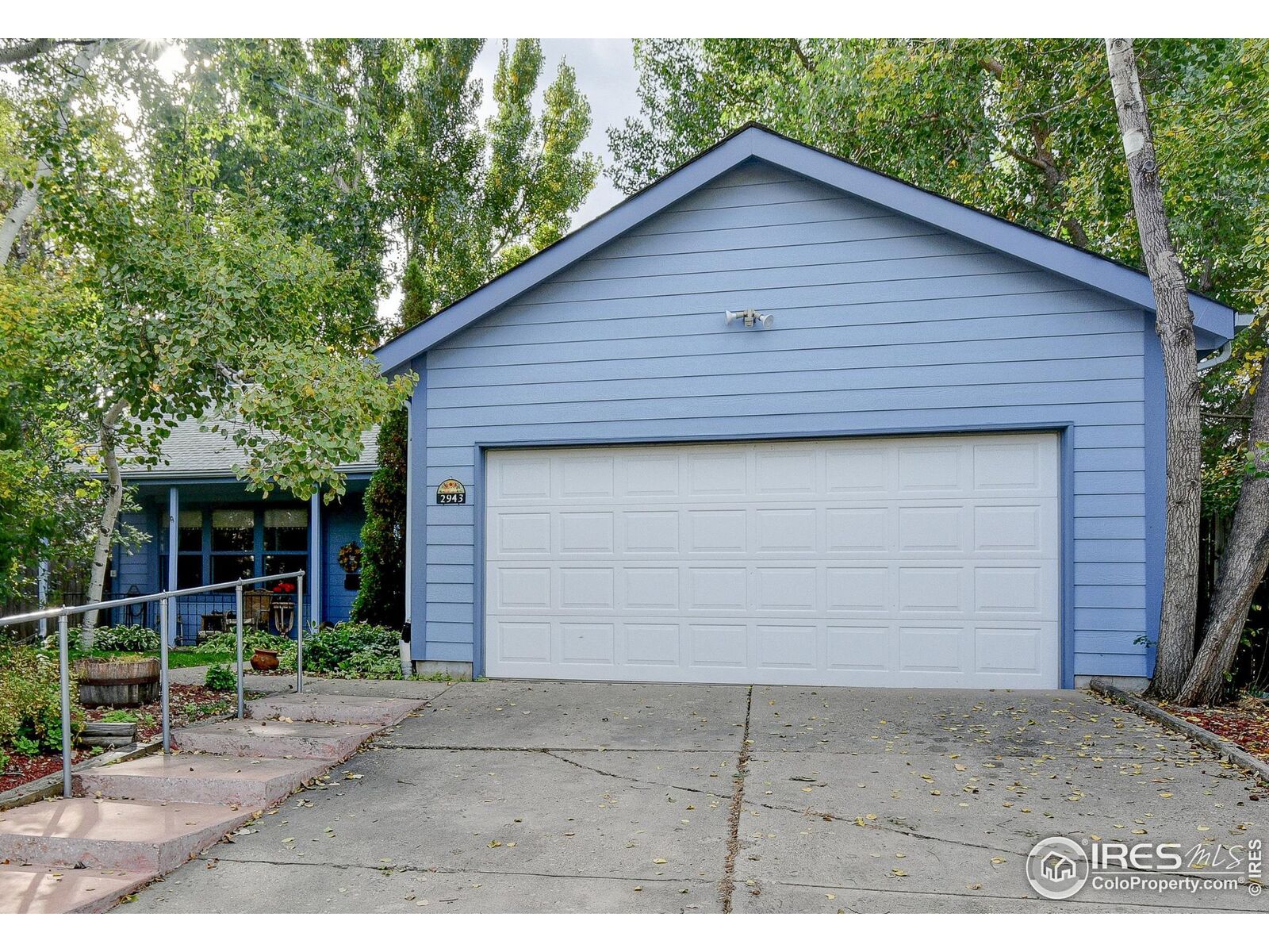 Property Photo:  2943 Querida St  CO 80526 