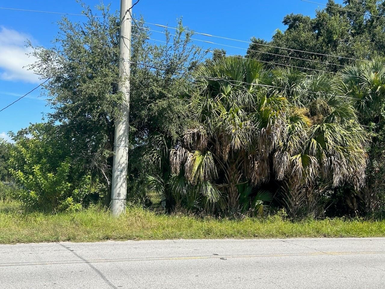 Property Photo:  613 Avenue O NE  FL 33881 
