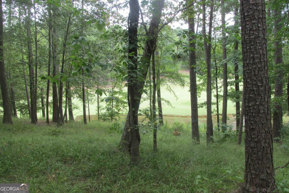 Property Photo:  1071 Big Water Circle  GA 30642 