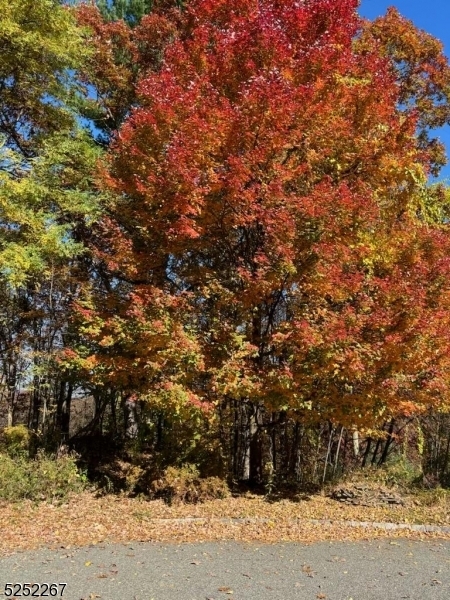 Property Photo: 9 Pineview Ln NJ 07005