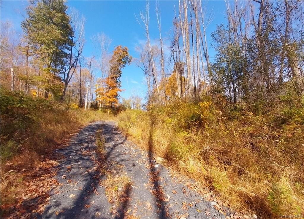 Property Photo:  County Route 22  NY 10940 