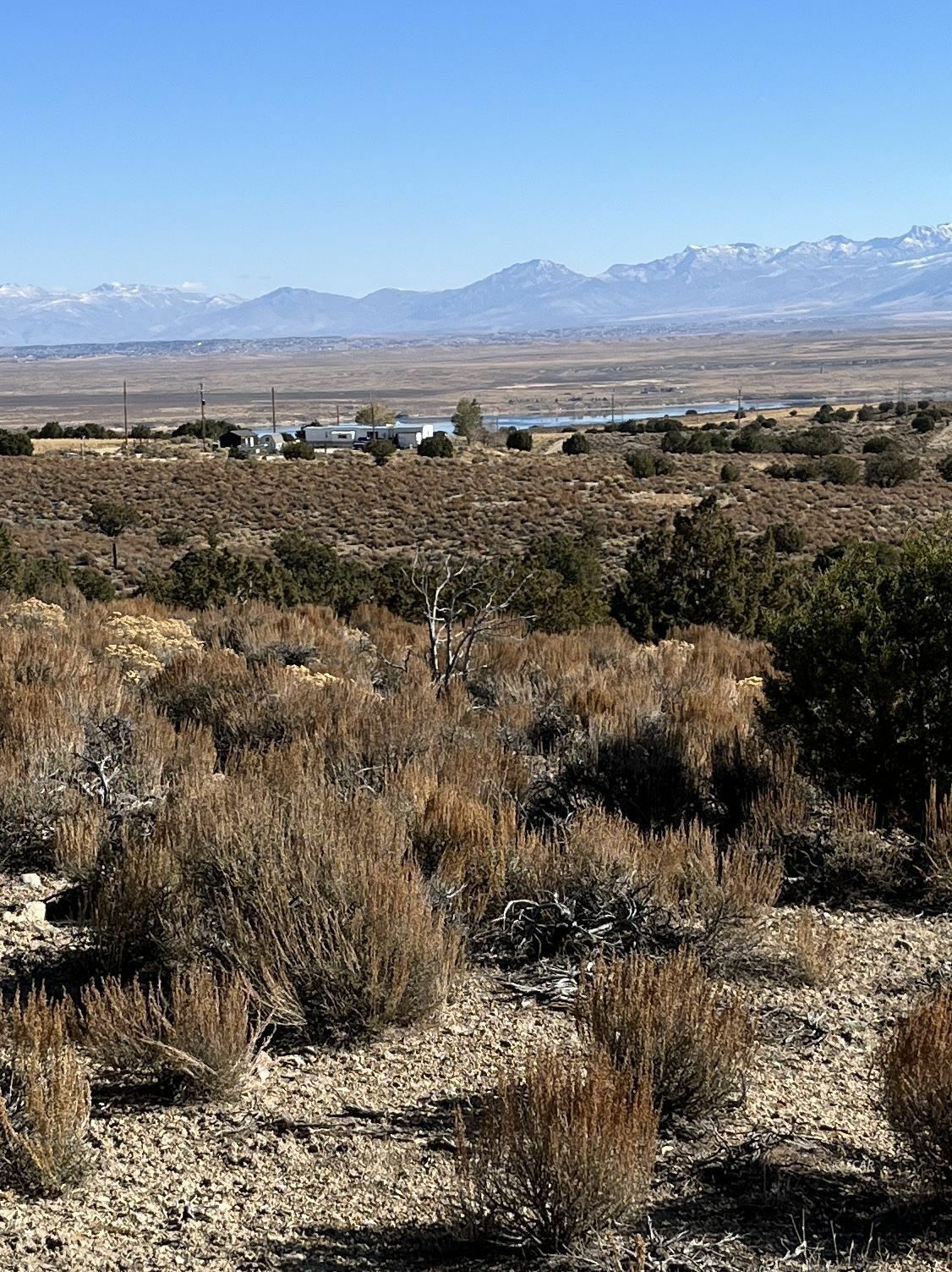 Property Photo:  Lee Avenue  NV 89815 