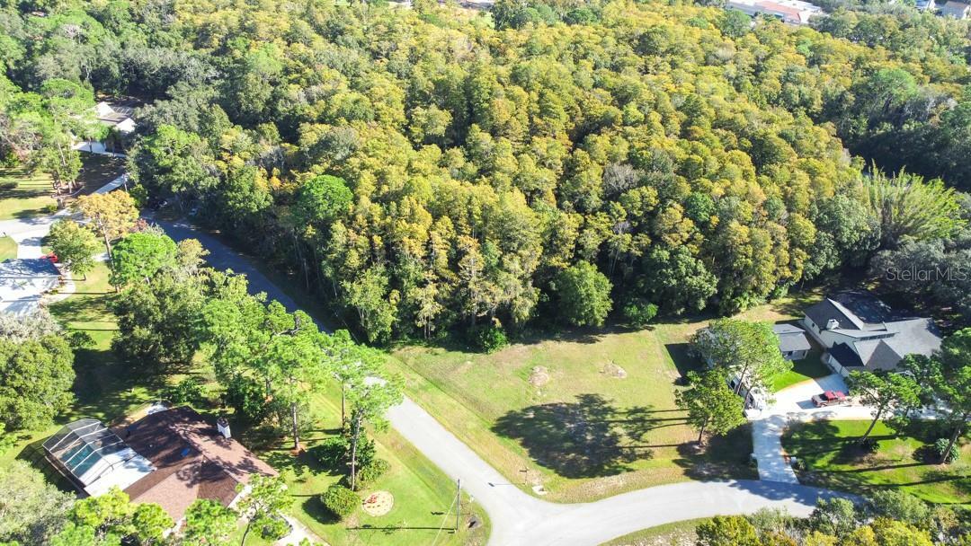 Property Photo: 0 Morningsun Court FL 34655